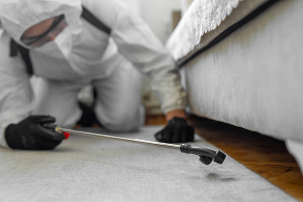 Professional Bed Bug Control technician working in Deaf Smith County County, TX